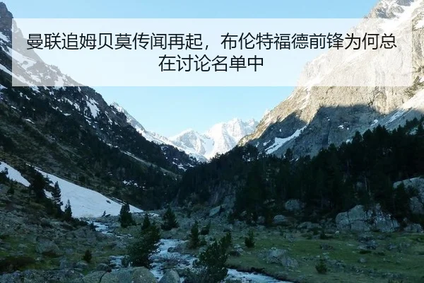 man-lian-zhui-mu-bei-mo-chuan-wen-zai-qi-bu-lun-te-fu-de-qian-feng-wei-he-zong-zai-tao-lun-ming-dan-zhong-2-836.jpg